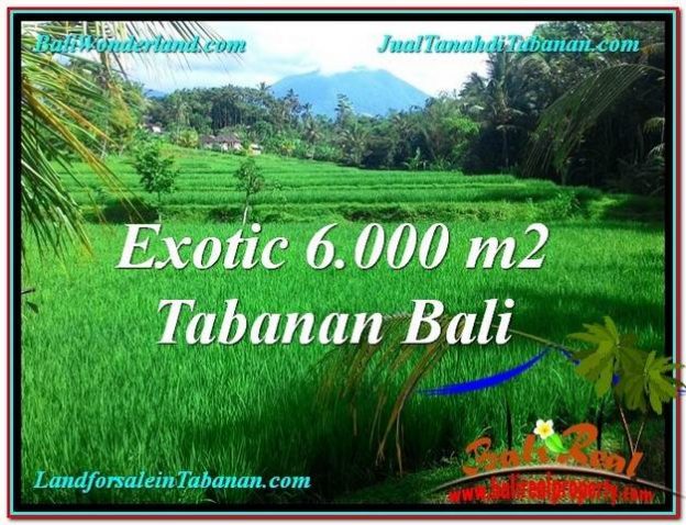 Beautiful TABANAN BALI 6,000 m2 LAND FOR SALE TJTB306