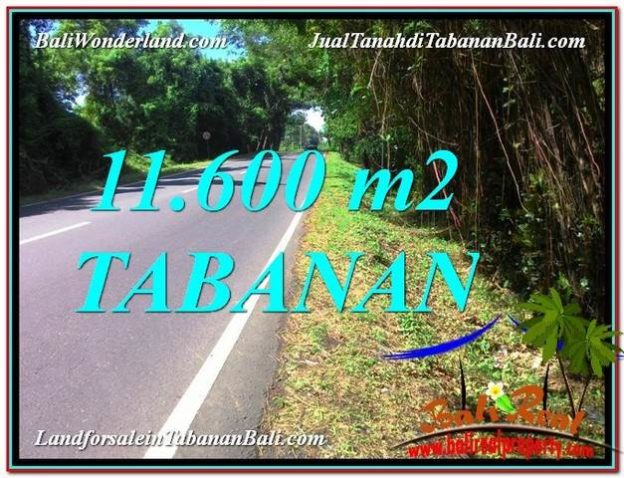 Exotic PROPERTY LAND SALE IN Tabanan Selemadeg TJTB327